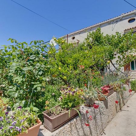Apartment Carmen Veli Lošinj Exteriér fotografie